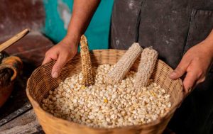 Qué Significa Soñar con Nixtamal