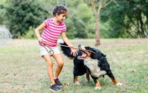 Significado de Soñar que un Perro Muerde a mi Hijo