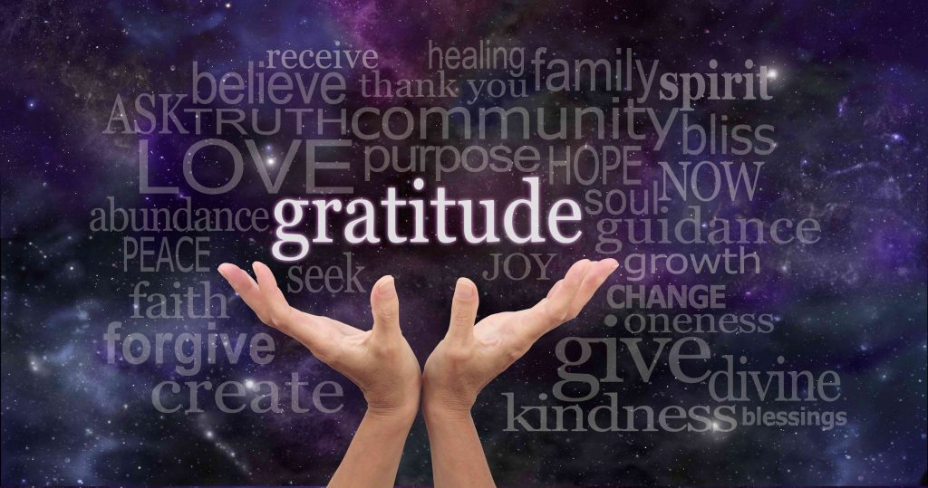 Apreciar lo que Tenemos: Claves para la Gratitud