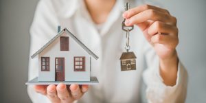 Empresas y Franquicias que Rentan Terrenos y Locales