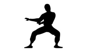 como jugar al ninja