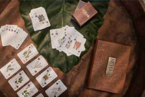 Como jugar al Bridge (contract bridge)-6