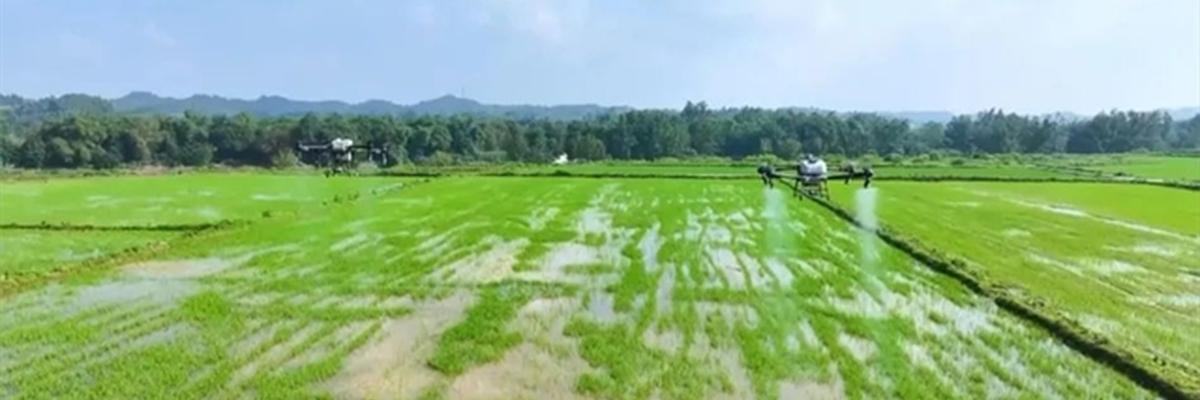 Impacto económico y social drones