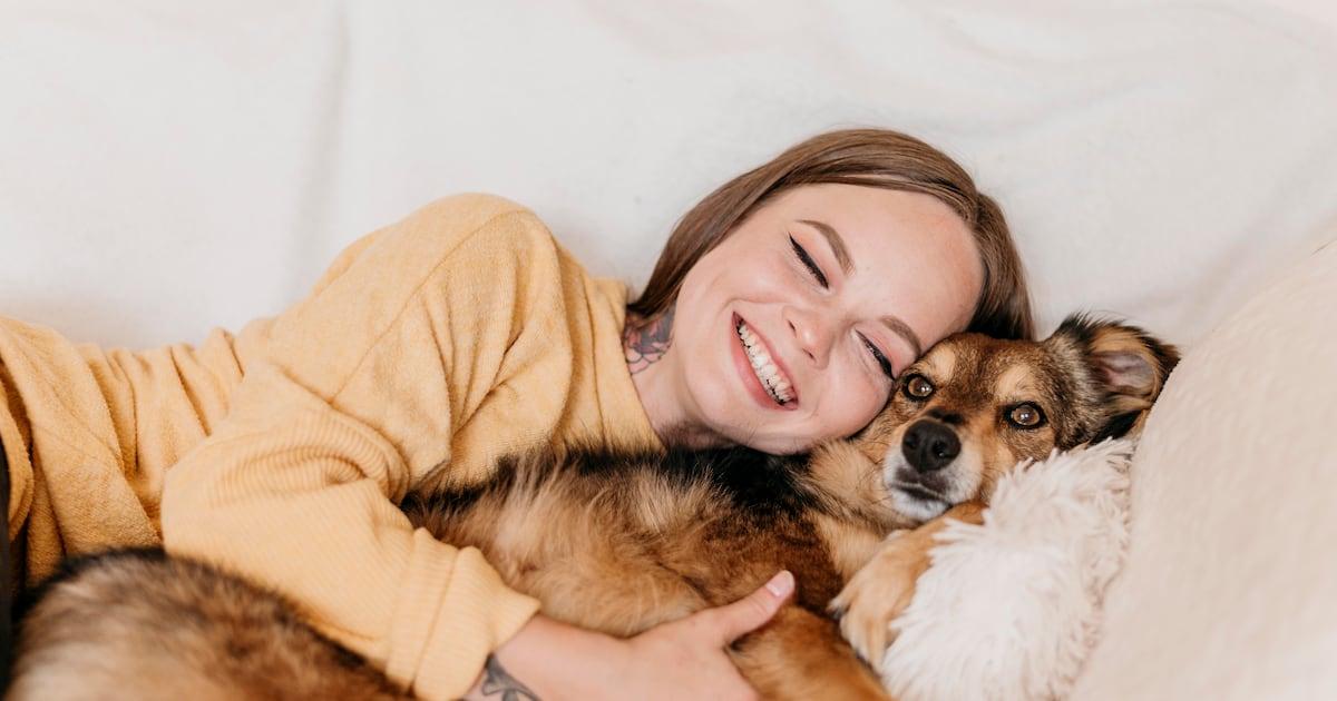 perro salud física mental