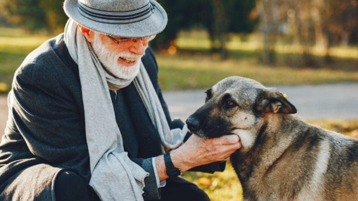 perro vínculo emocional beneficios