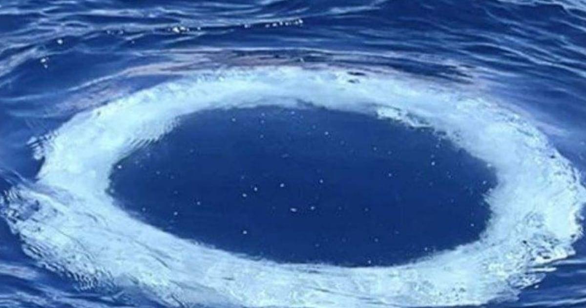 Comportamiento de ballenas