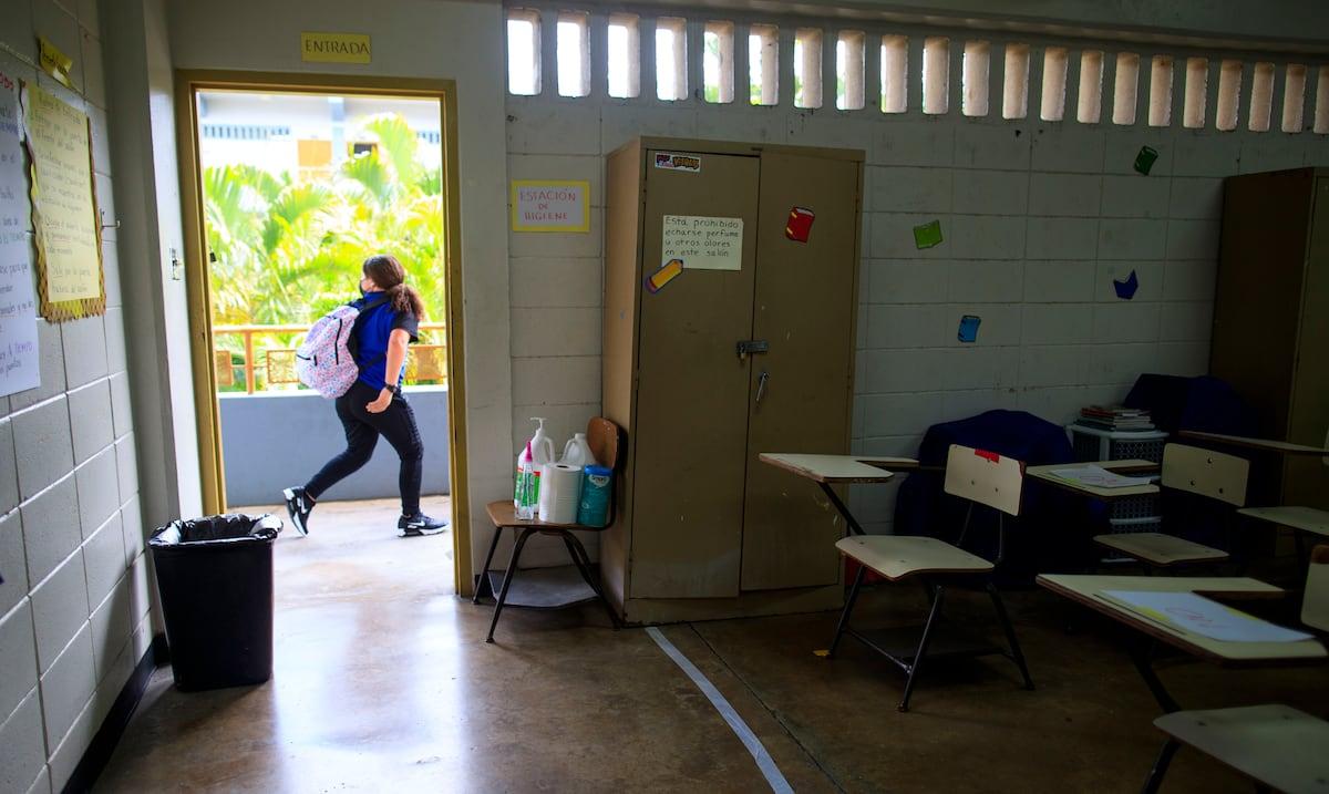 Docentes revisando currículo funcional