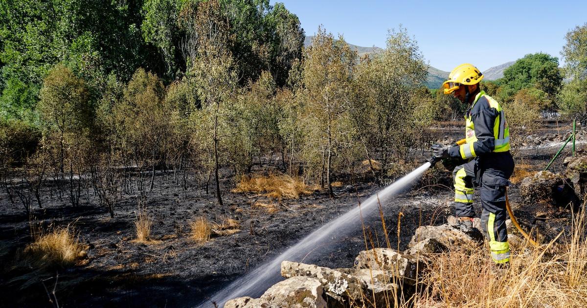 Brigadistas interviniendo en área afectada por el fuego