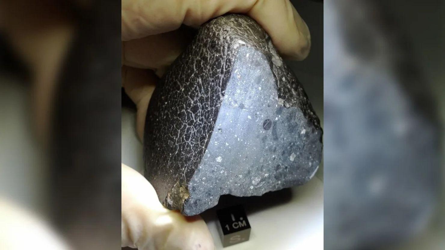 pieza subastada de meteorito marciano