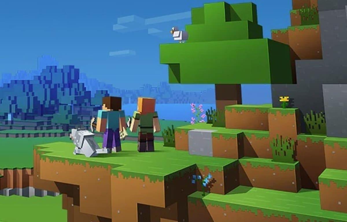 Minecraft en la vida real