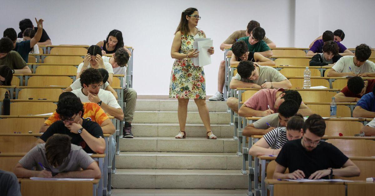 Movilidad universitaria