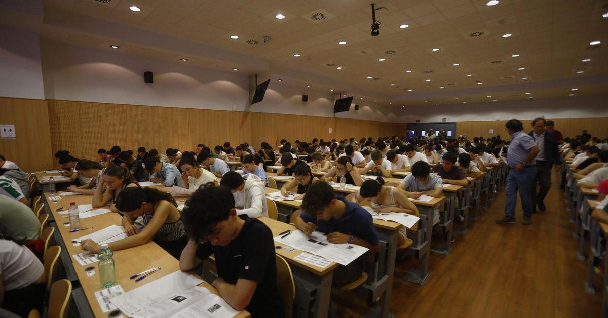 Acceso universidad Selectividad