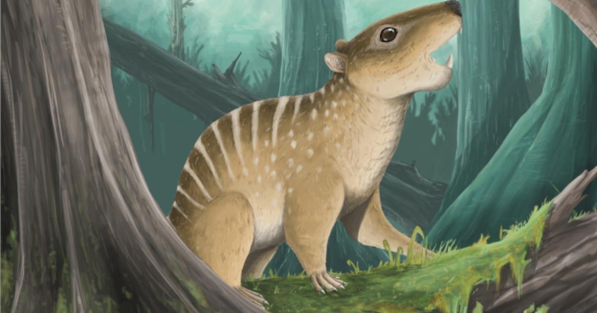 Capibara en Sudamérica