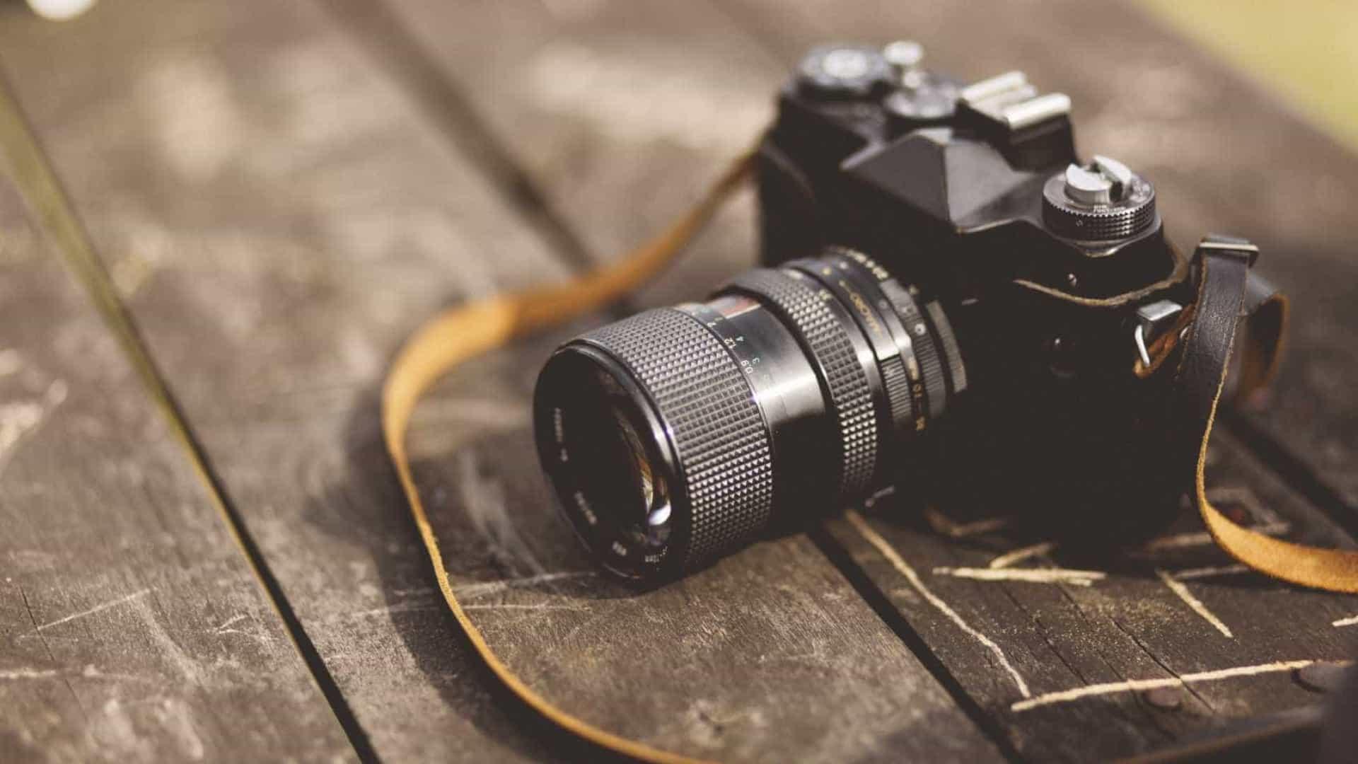 Concurso de fotografía naturaleza y fauna