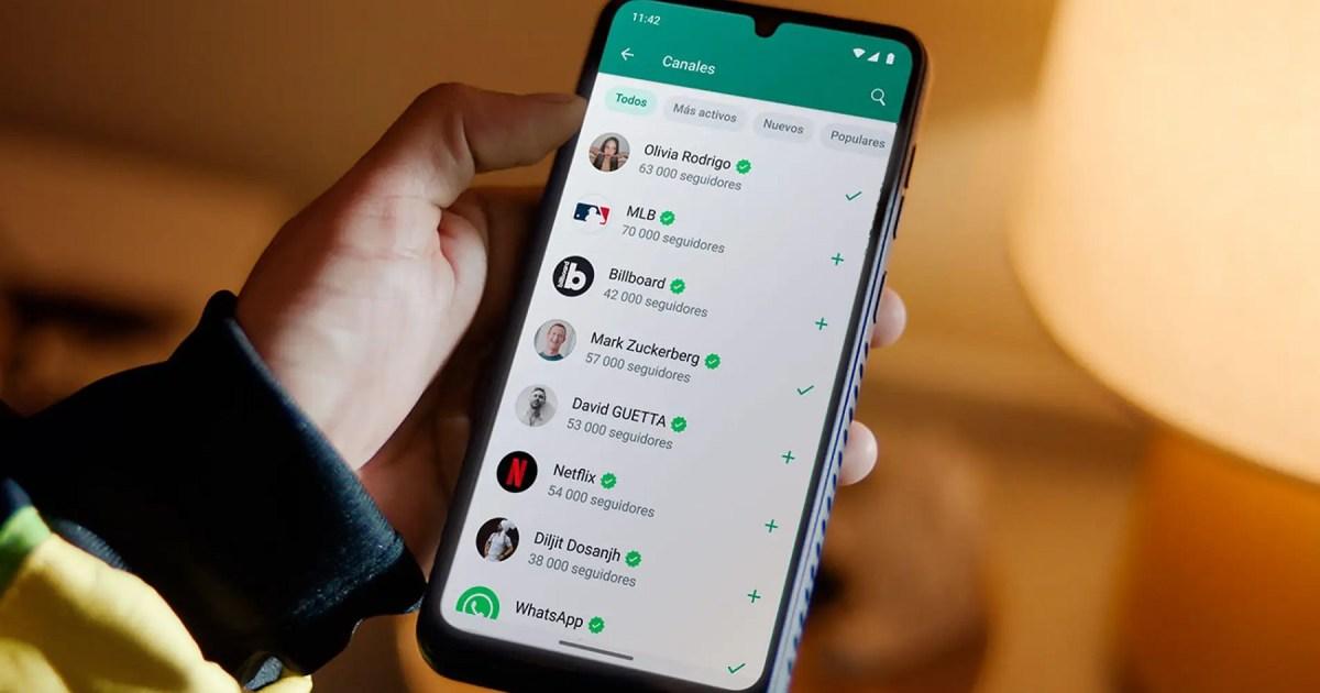Disponibilidad recordatorio WhatsApp