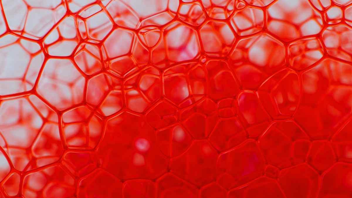 Moléculas longevidad ciencia