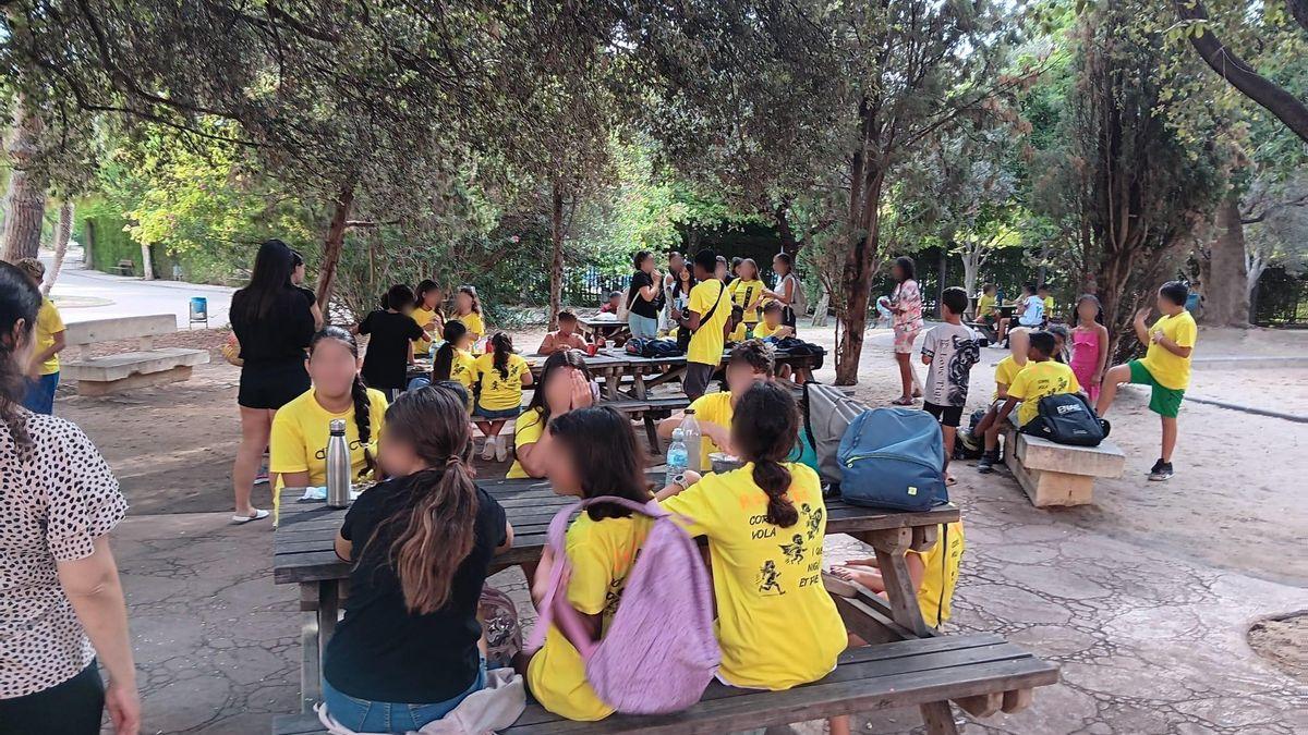 Participación en escuela de verano