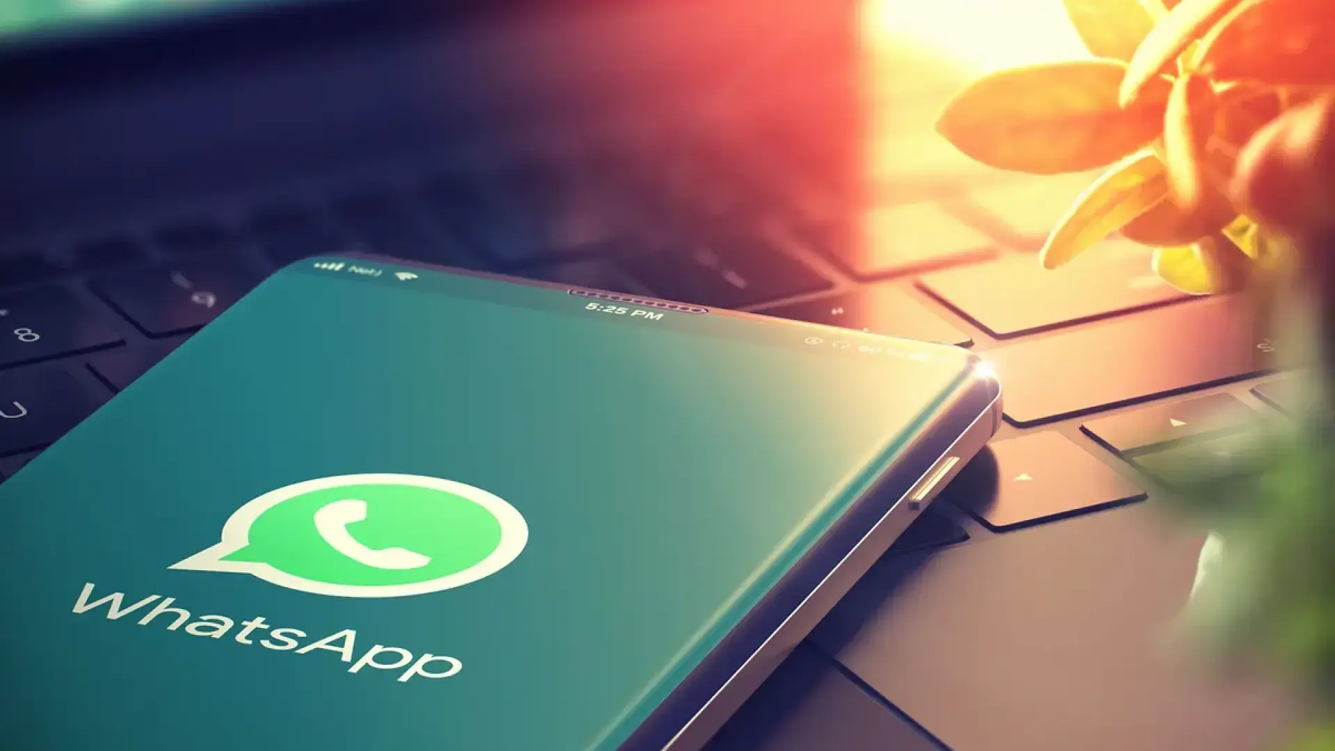 WhatsApp sugerencias de escritura con IA