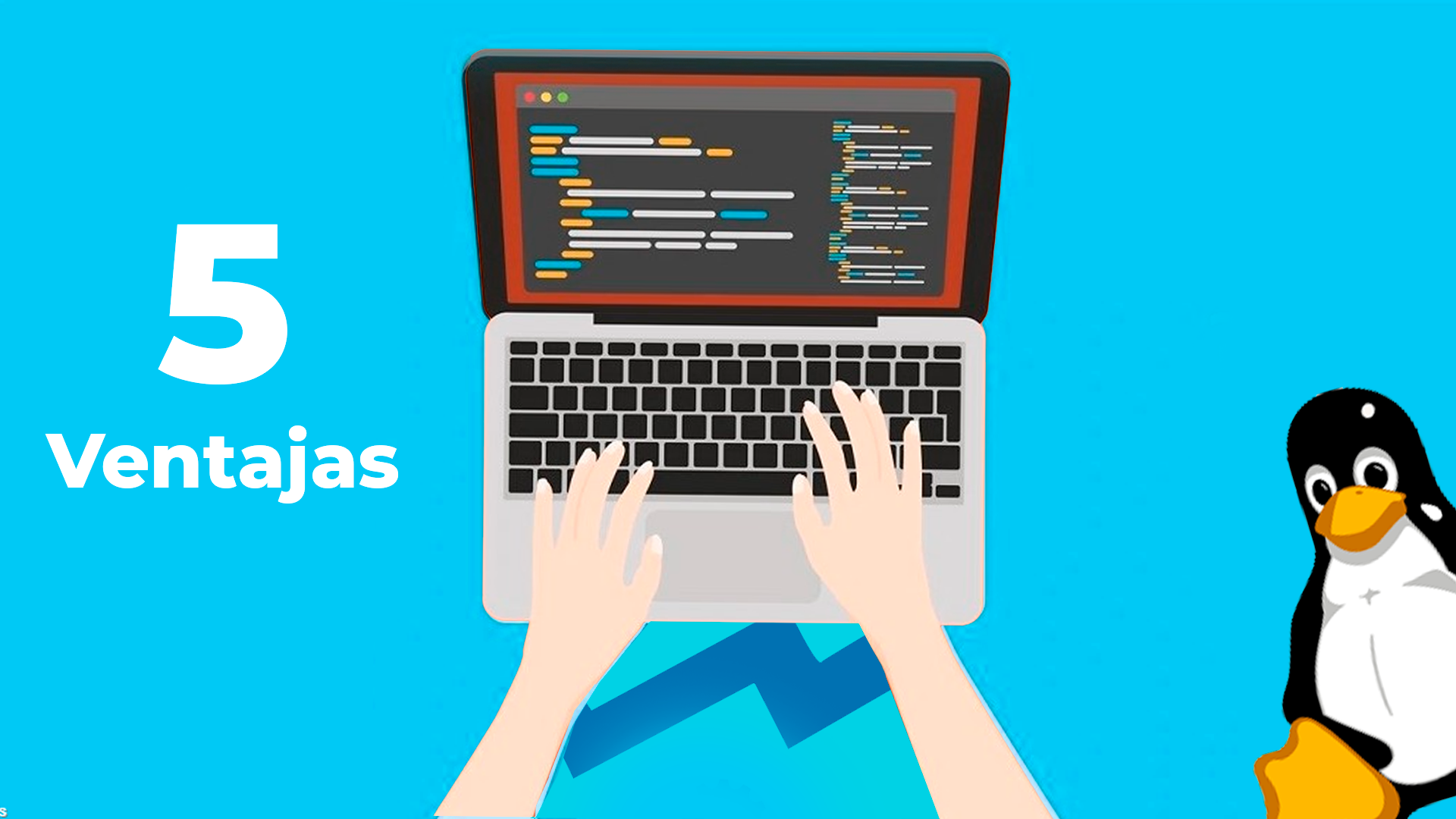 limitaciones del sistema libre