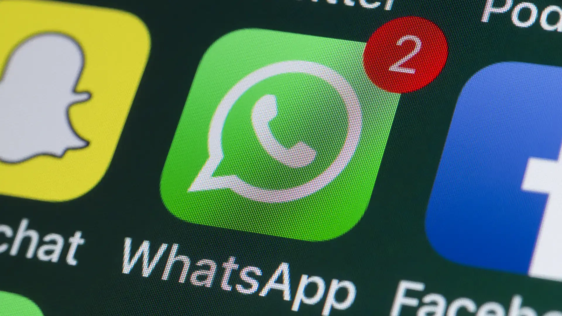 ajustes internos de WhatsApp