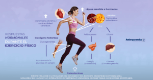 hormonas del enfado y metabolismo