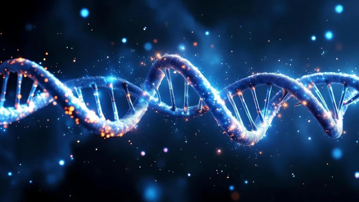 ADN y análisis computacional