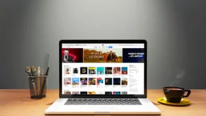 organizar iTunes a fondo