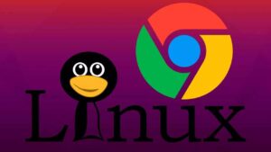 google chrome linux