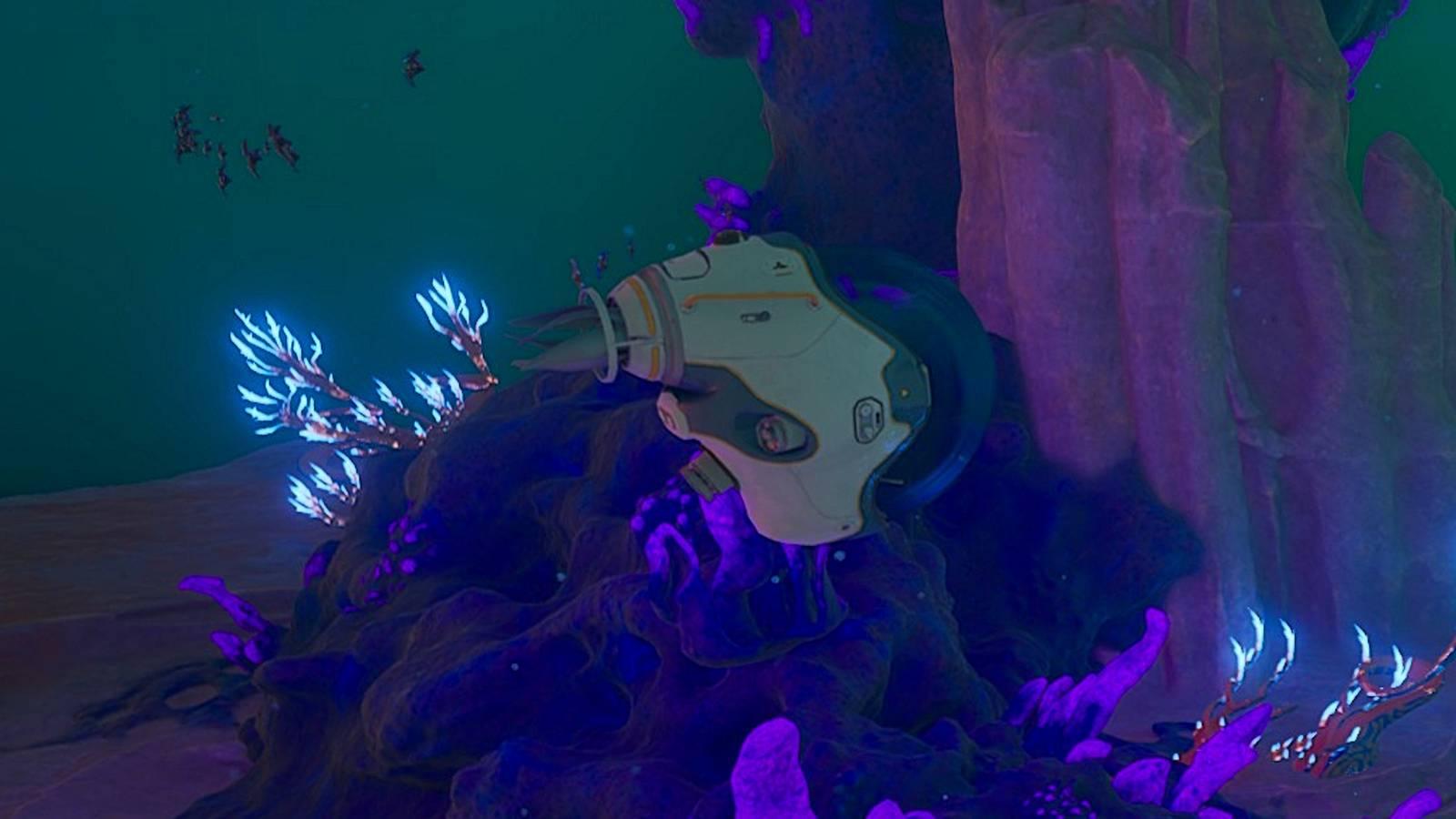 tadpole subnautica 2
