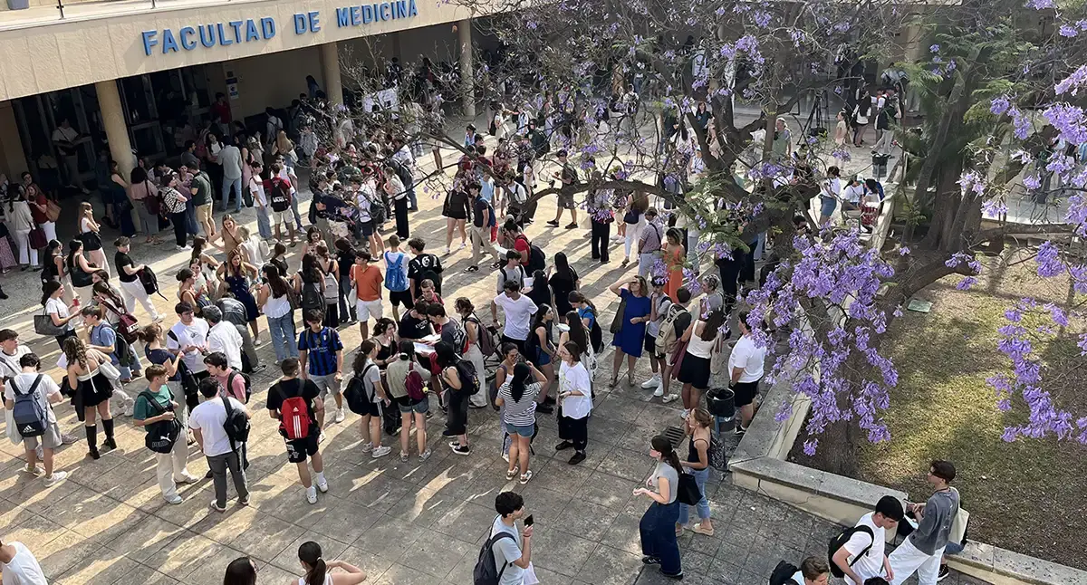 Calendario de admisiones Resultados finales de acceso a la universidad