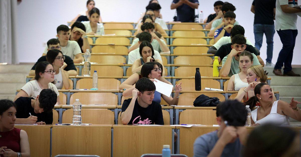 Estudiantes consultando notas de la PAU