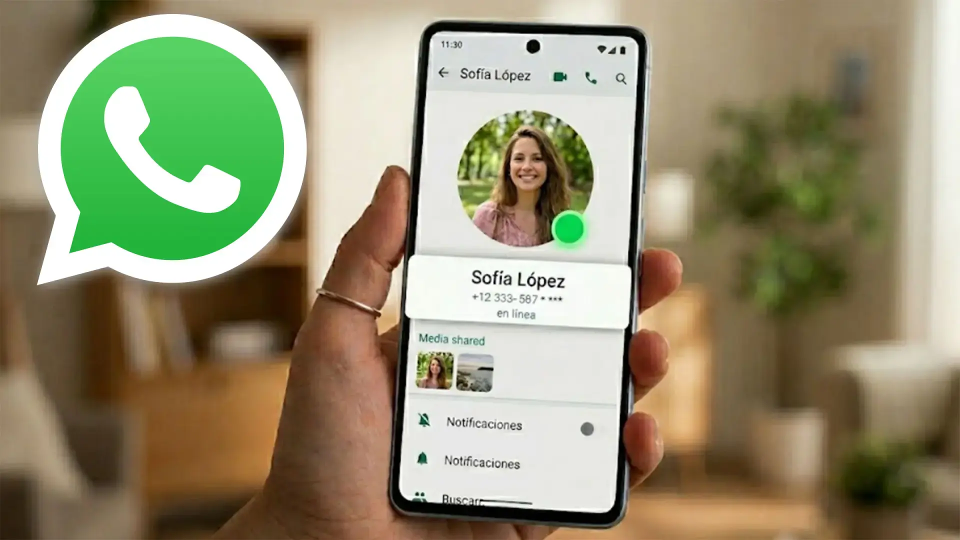 Configuración de estado en línea Ajustes de privacidad en WhatsApp