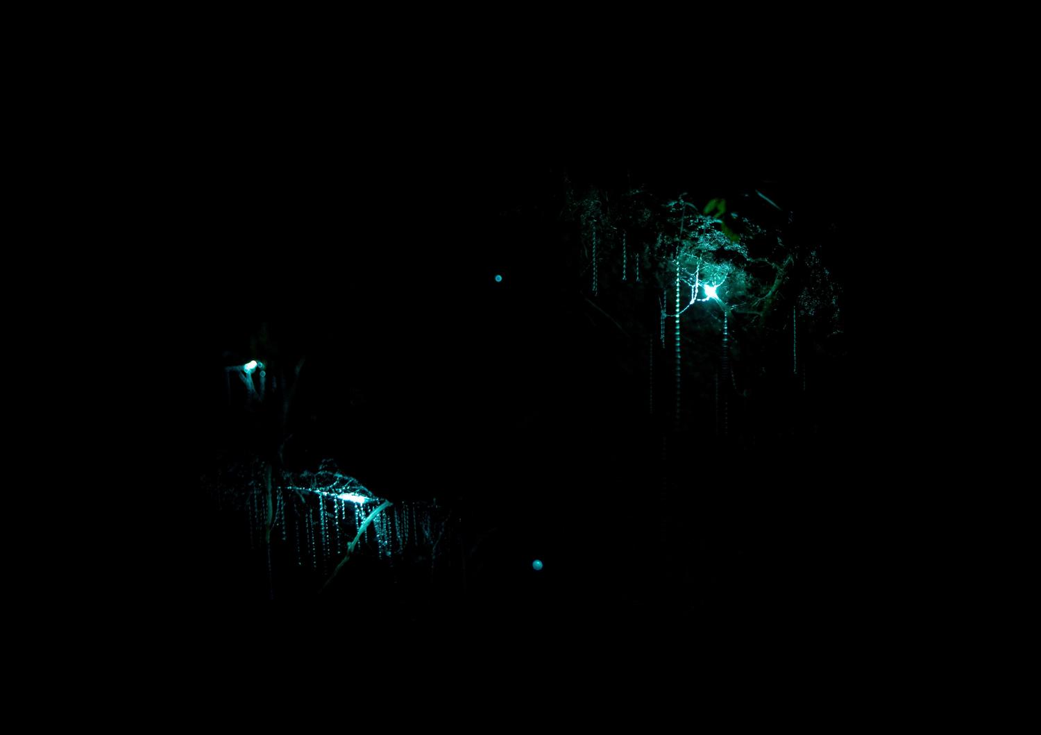 Cueva alienígena con organismos bioluminiscentes, ilustrando la esencia de exploración y descubrimiento en mundos desconocidos.