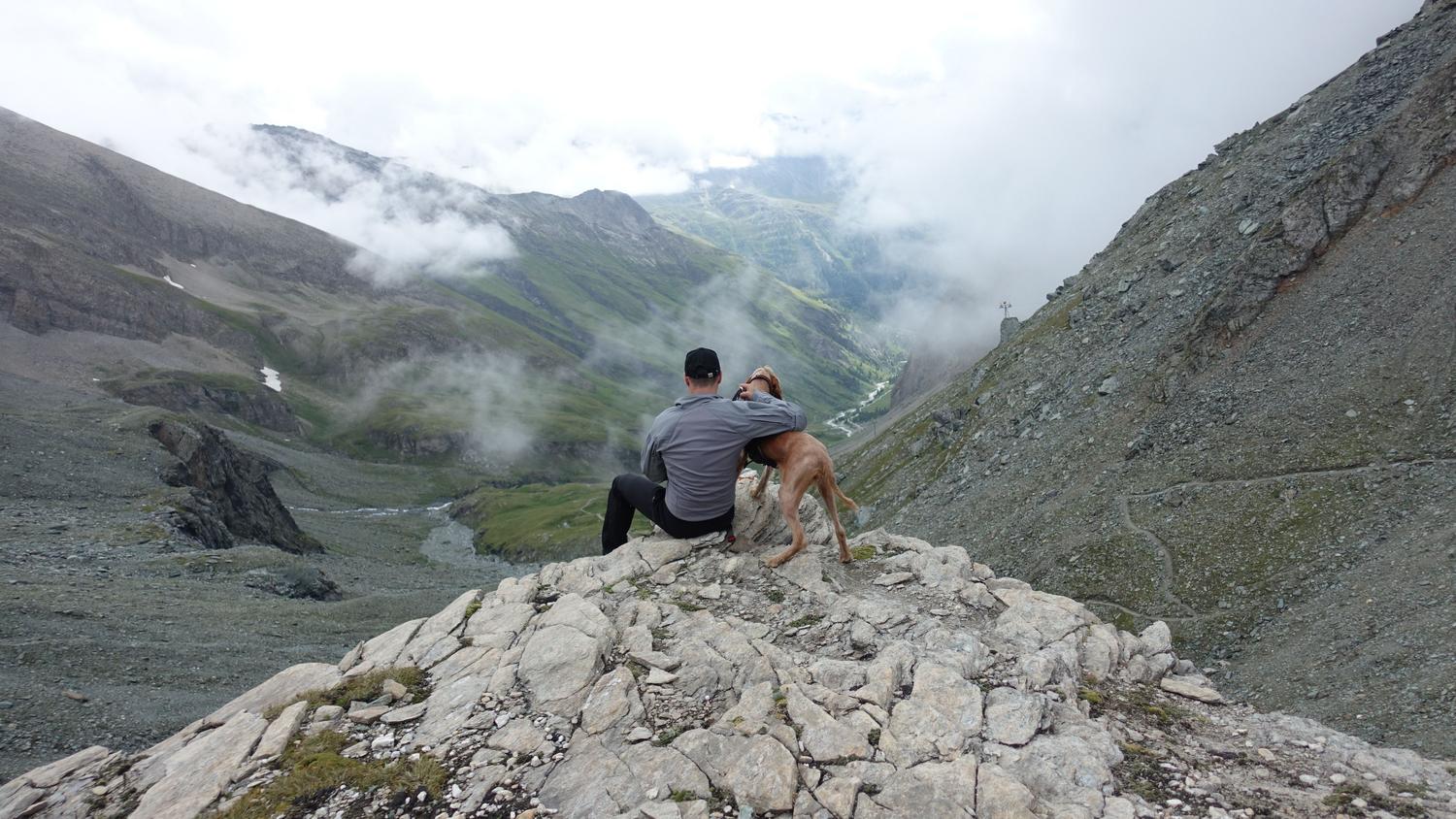 Un hombre y su perro sentados en un pico rocoso mirando un valle brumoso, simbolizando la lealtad y la soledad existencial.