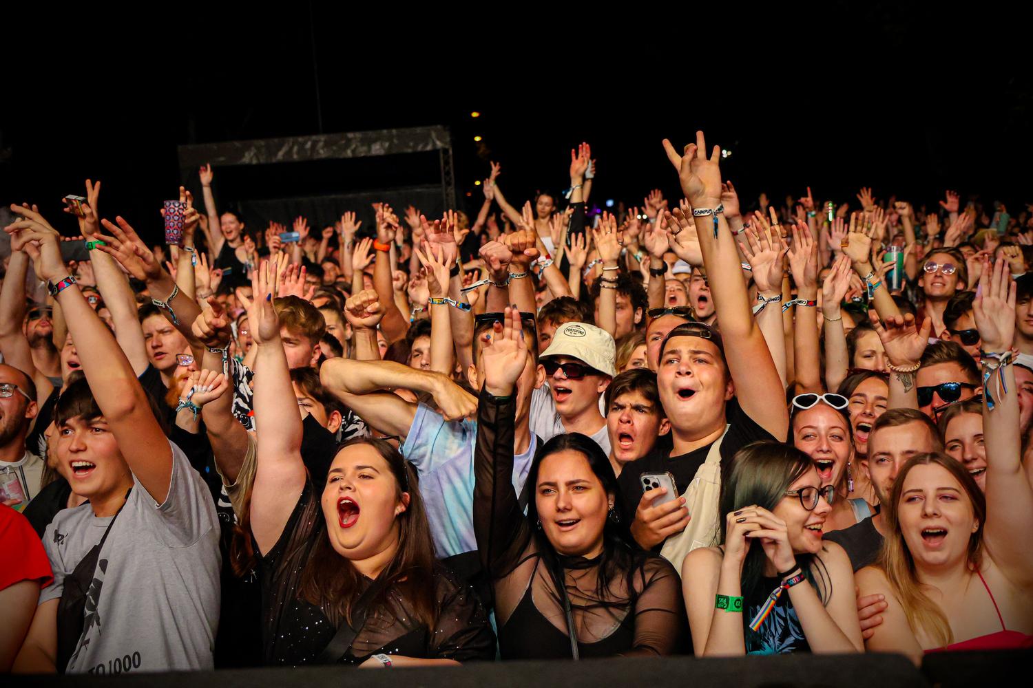 Público entusiasta con los brazos en alto en un festival, simbolizando la devoción y pasión extrema de un stan.