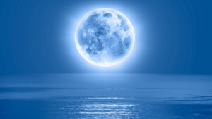 BlueMoon-exploatering