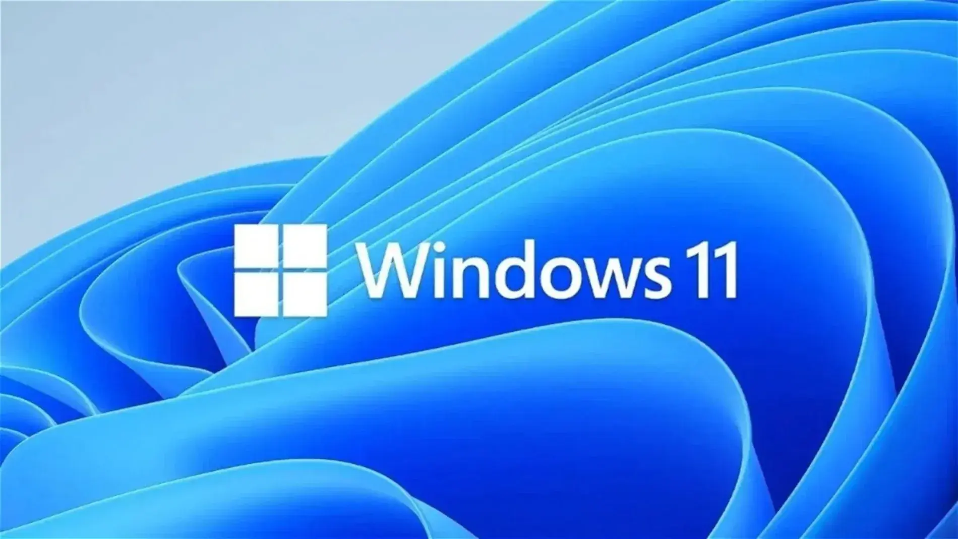 Windows 11 fallo cursor Windows 11 cursor problema