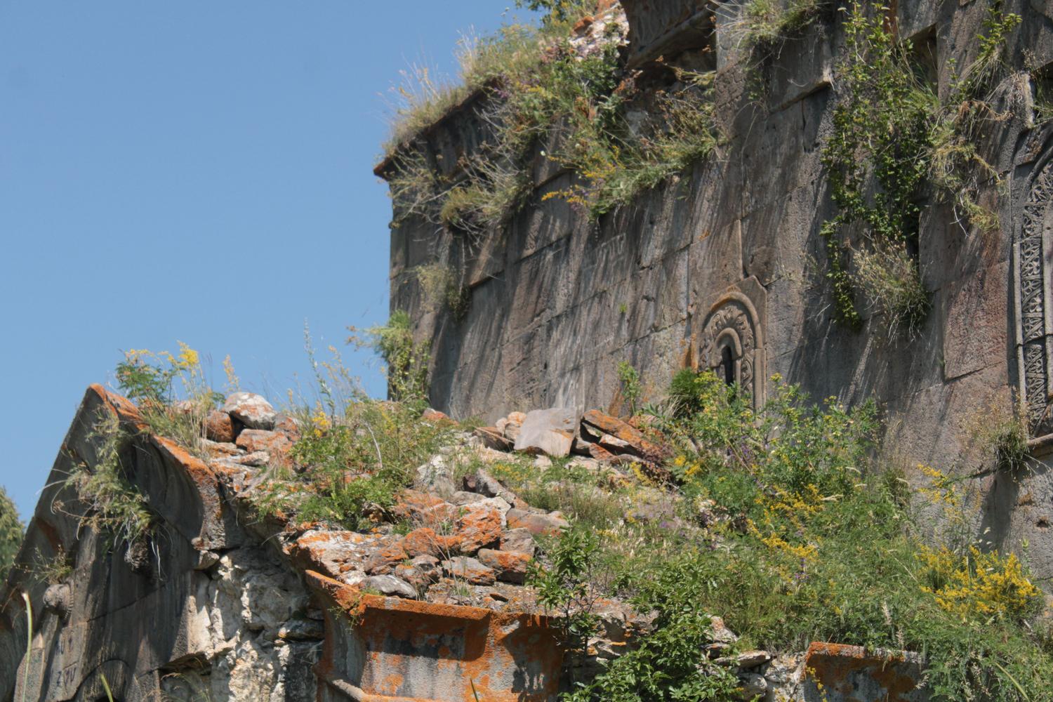 Ruinas antiguas de piedra cubiertas por vegetación exuberante y musgo, representando la Era de la Calamidad donde la naturaleza reclama el reino.
