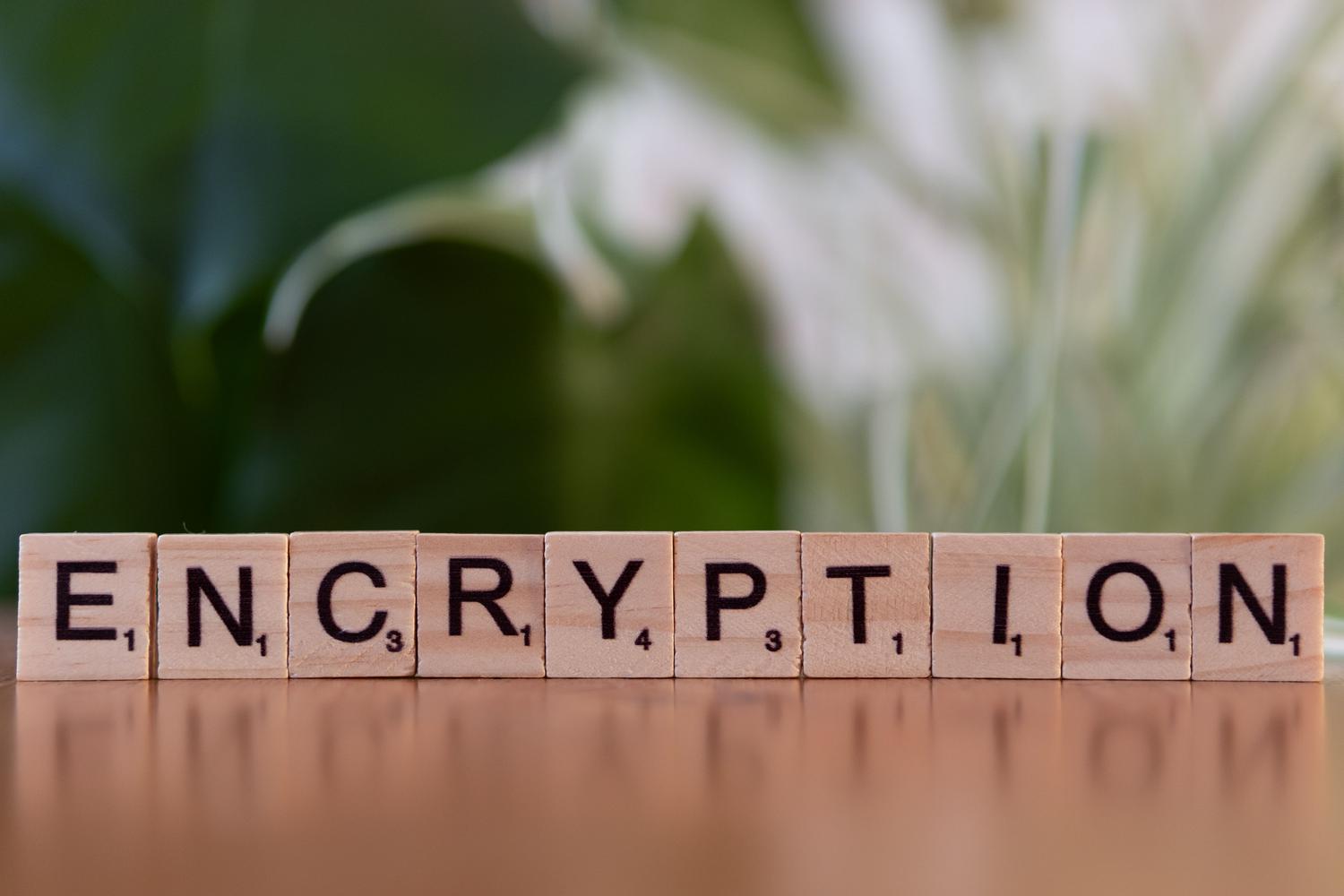 Bloques de madera formando la palabra 'encryption', simbolizando la seguridad y el cifrado de los marcadores.