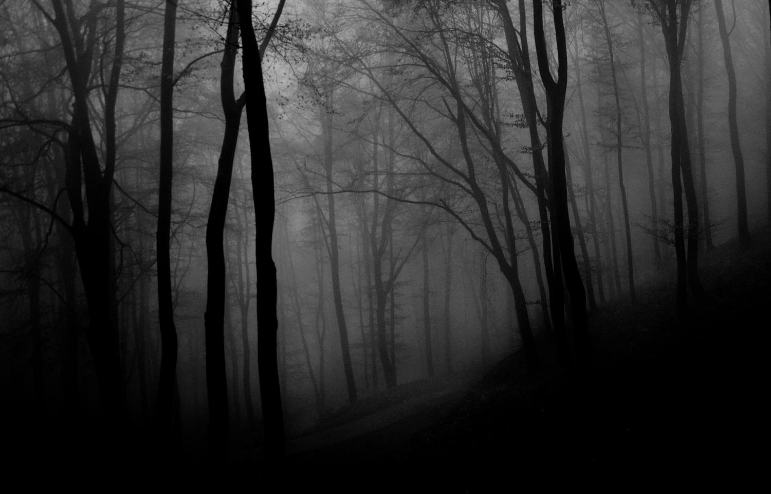 Bosque oscuro y brumoso en blanco y negro con árboles esqueléticos, evocando la melancolía y desesperación del Funeral Doom.