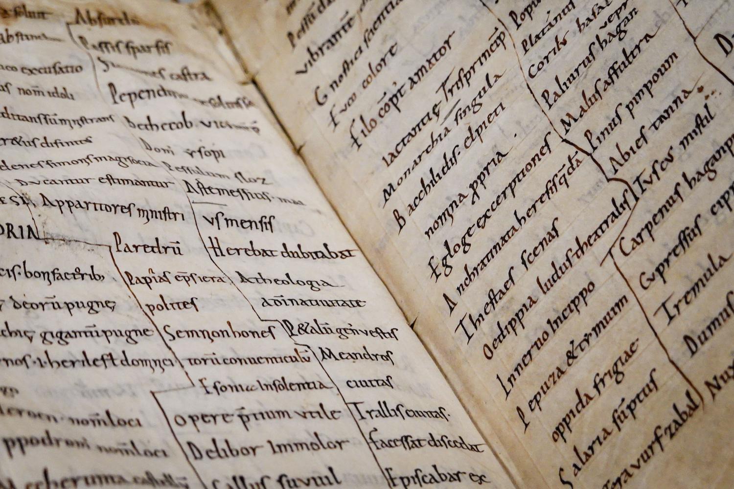 Detalle de un manuscrito antiguo con texto en latín y caligrafía, ejemplificando las fuentes históricas que pueden ser procesadas por IA.
