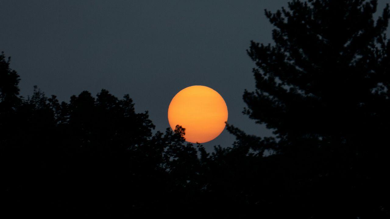 Luna del Cazador en el cielo nocturno