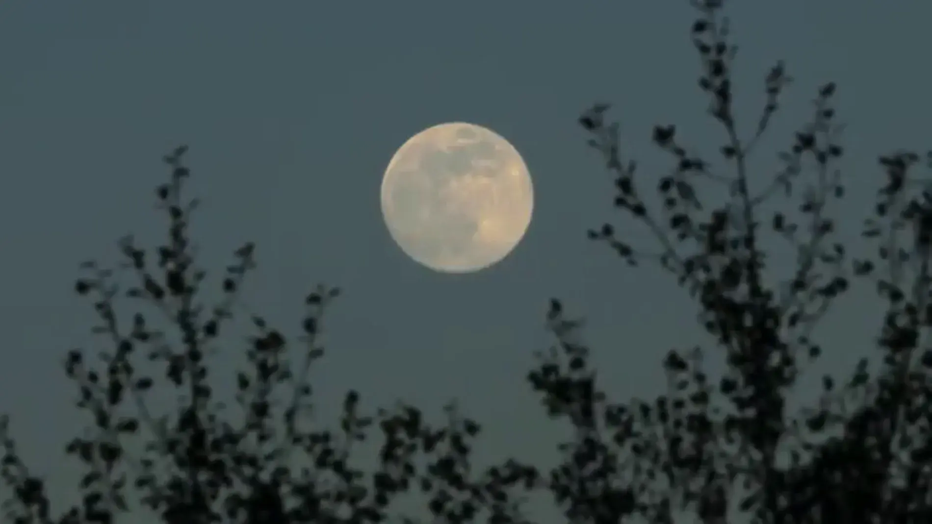 Luna del Cazador Luna del Cazador en el cielo nocturno