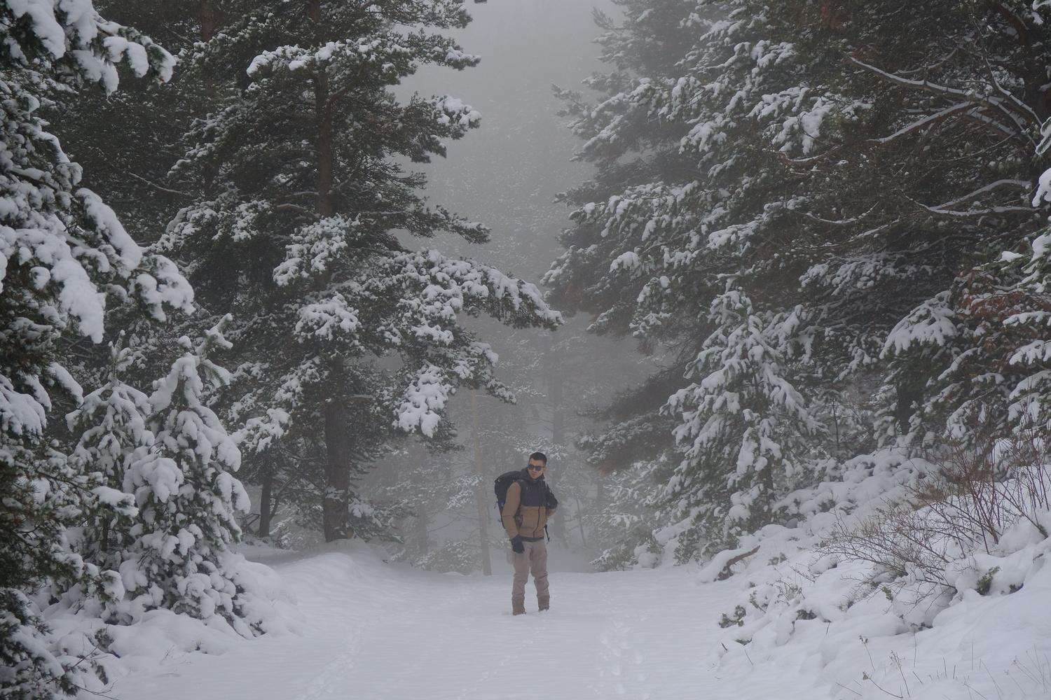 Senderista equipado con ropa térmica y aislante navegando por un bosque nevado en invierno