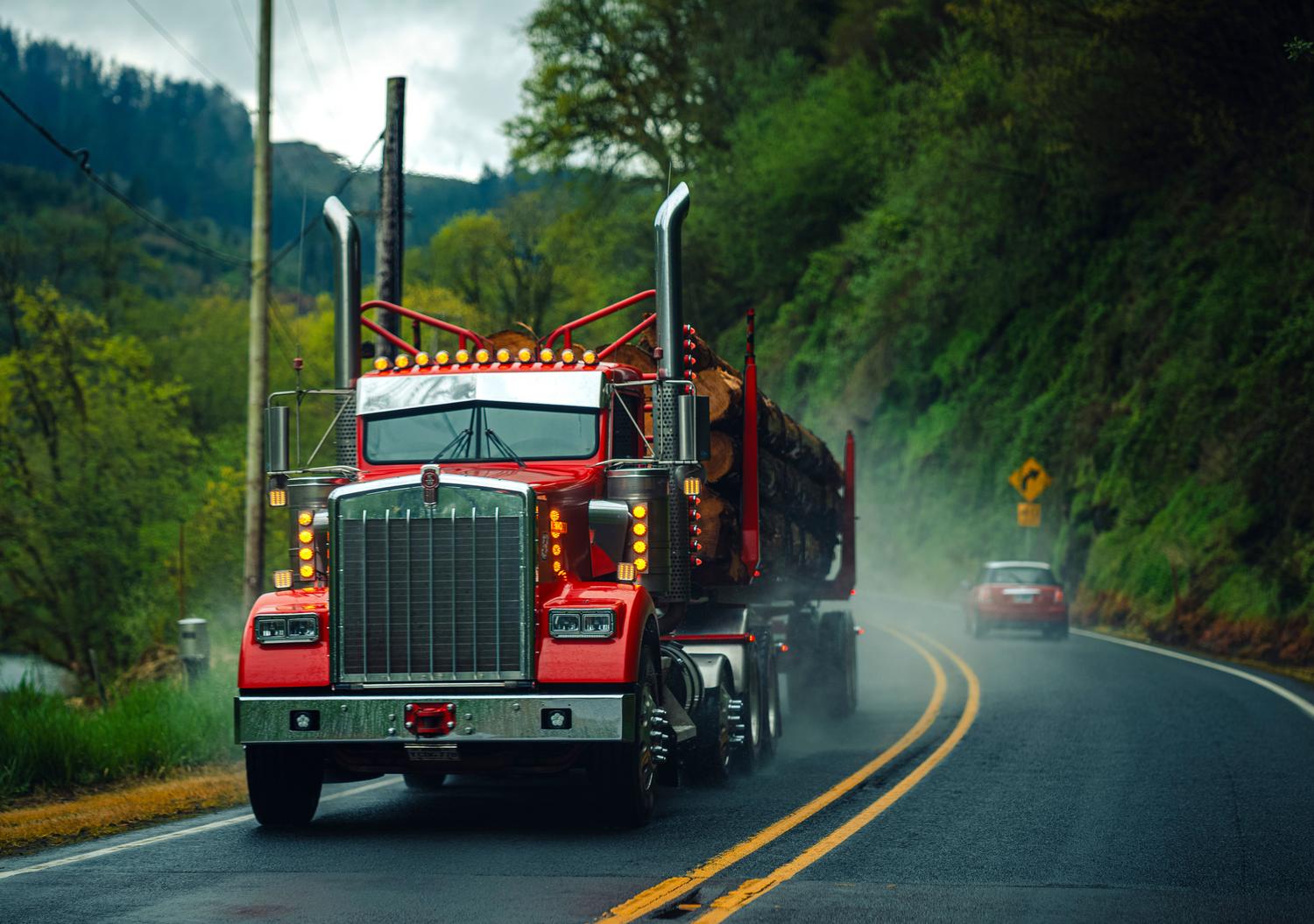 Camión de carga forestal transportando troncos por una carretera brumosa en Oregón, ilustrando la diversidad de paisajes y remolques del juego.