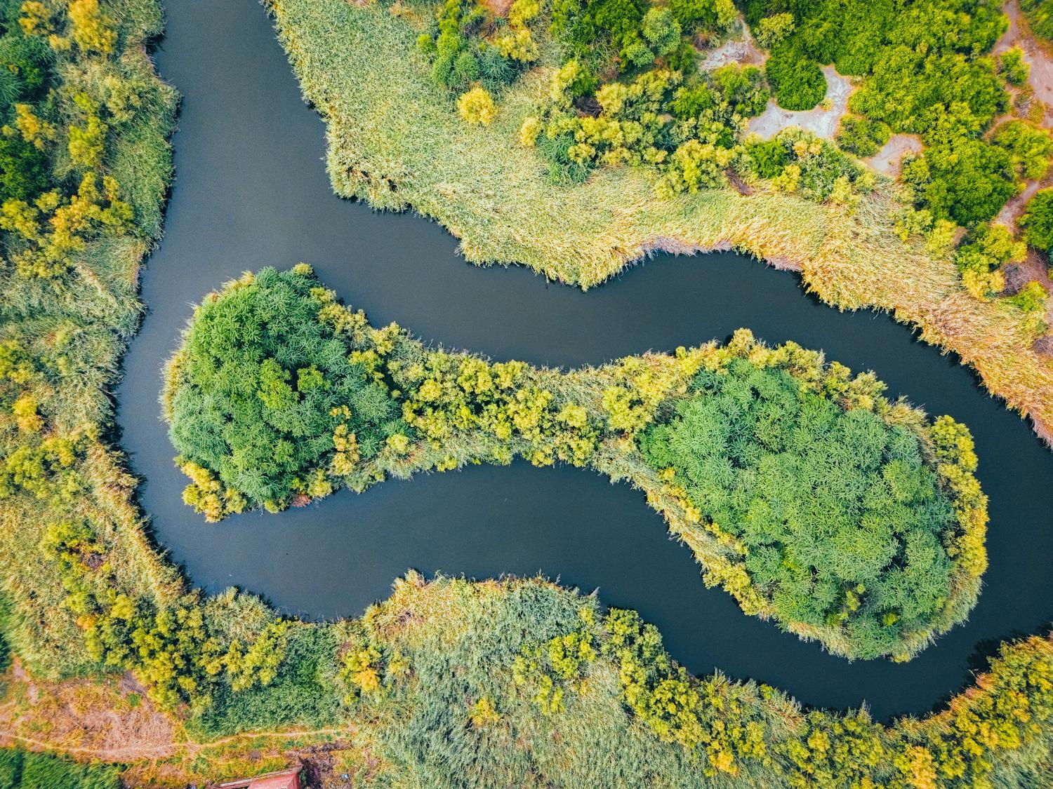 Vista aérea de un río serpenteante rodeado de vegetación exuberante, mostrando la interconexión de un ecosistema natural.